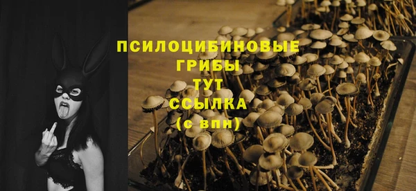 дурь Верхнеуральск